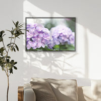 PK-093W062