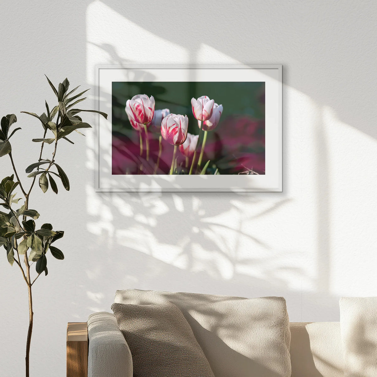 PWP093W062
