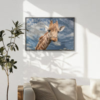 PB-060W040