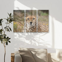 AC-060R040