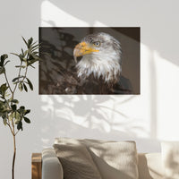 PO-075W050