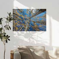 PO-090W060