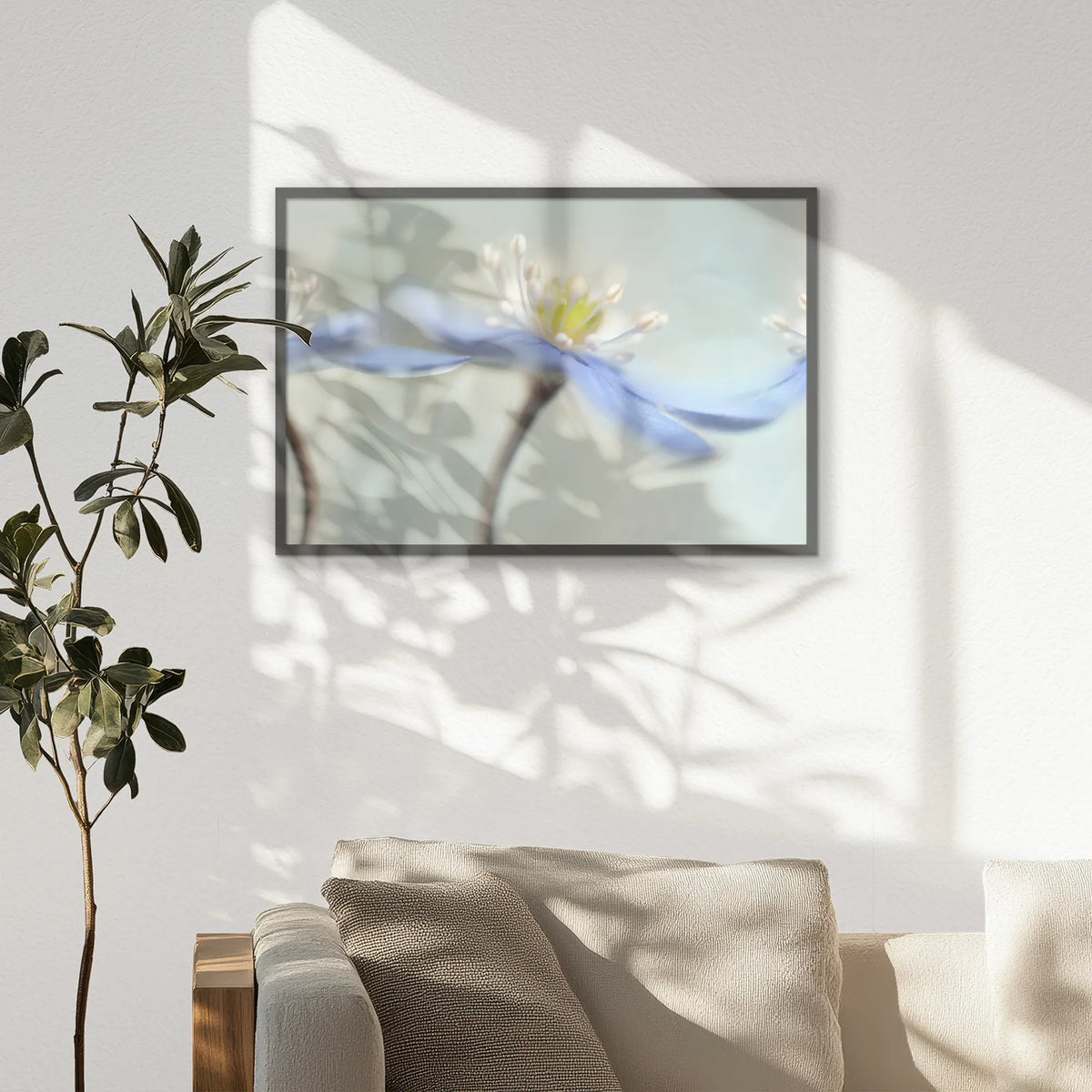 PK-093W062