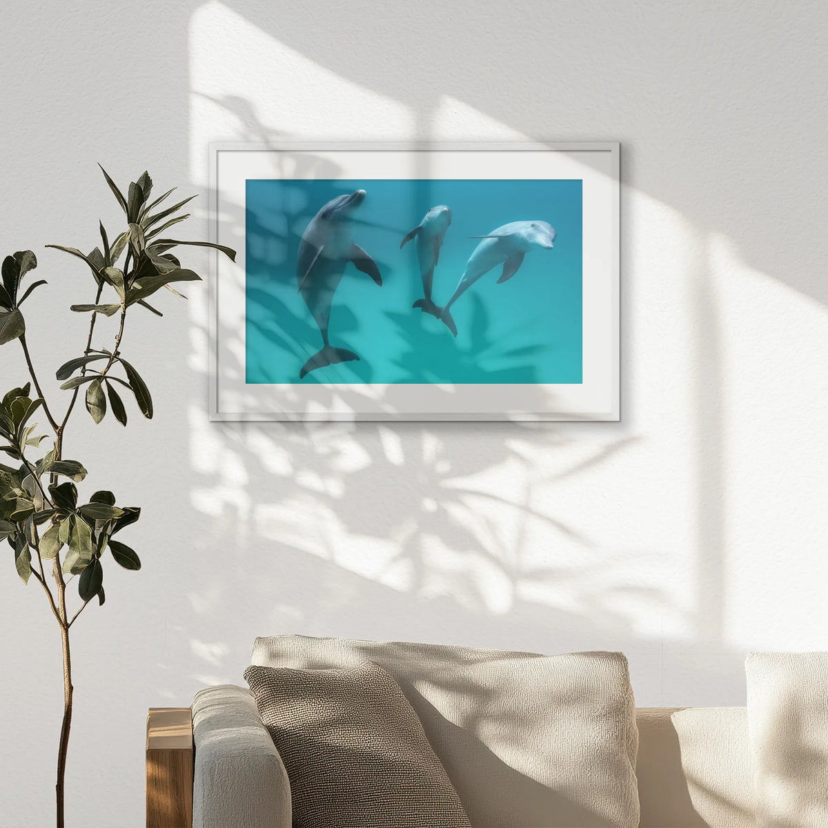 PWP093W062