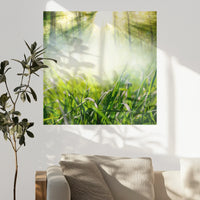 PO-070W070
