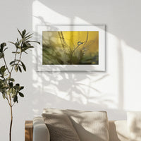PSP060W040