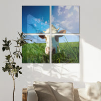 AC-100V100