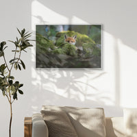 PS-093W062