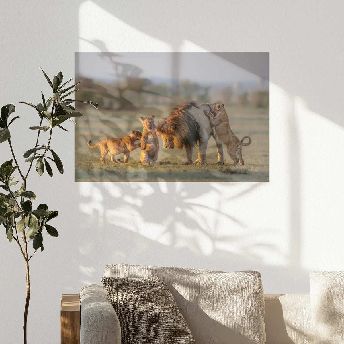 PO-090W060