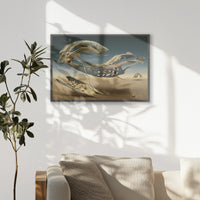 PK-093W062