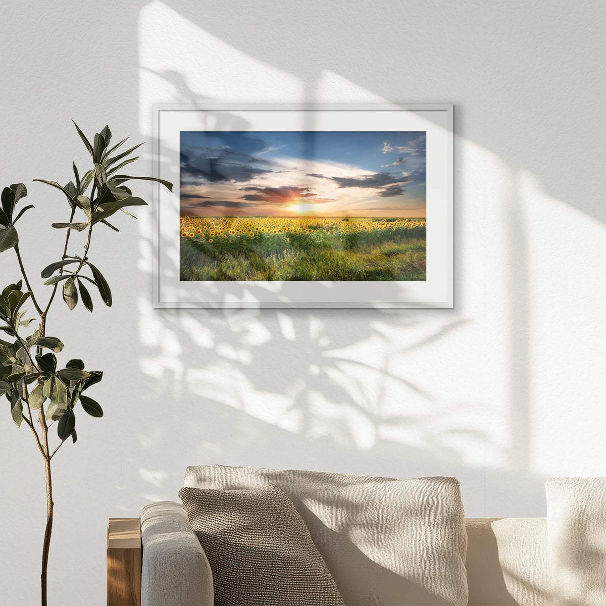 PWP093W062