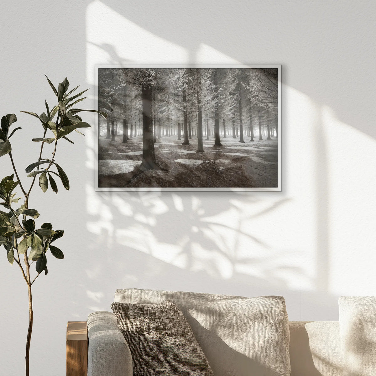PW-093W062