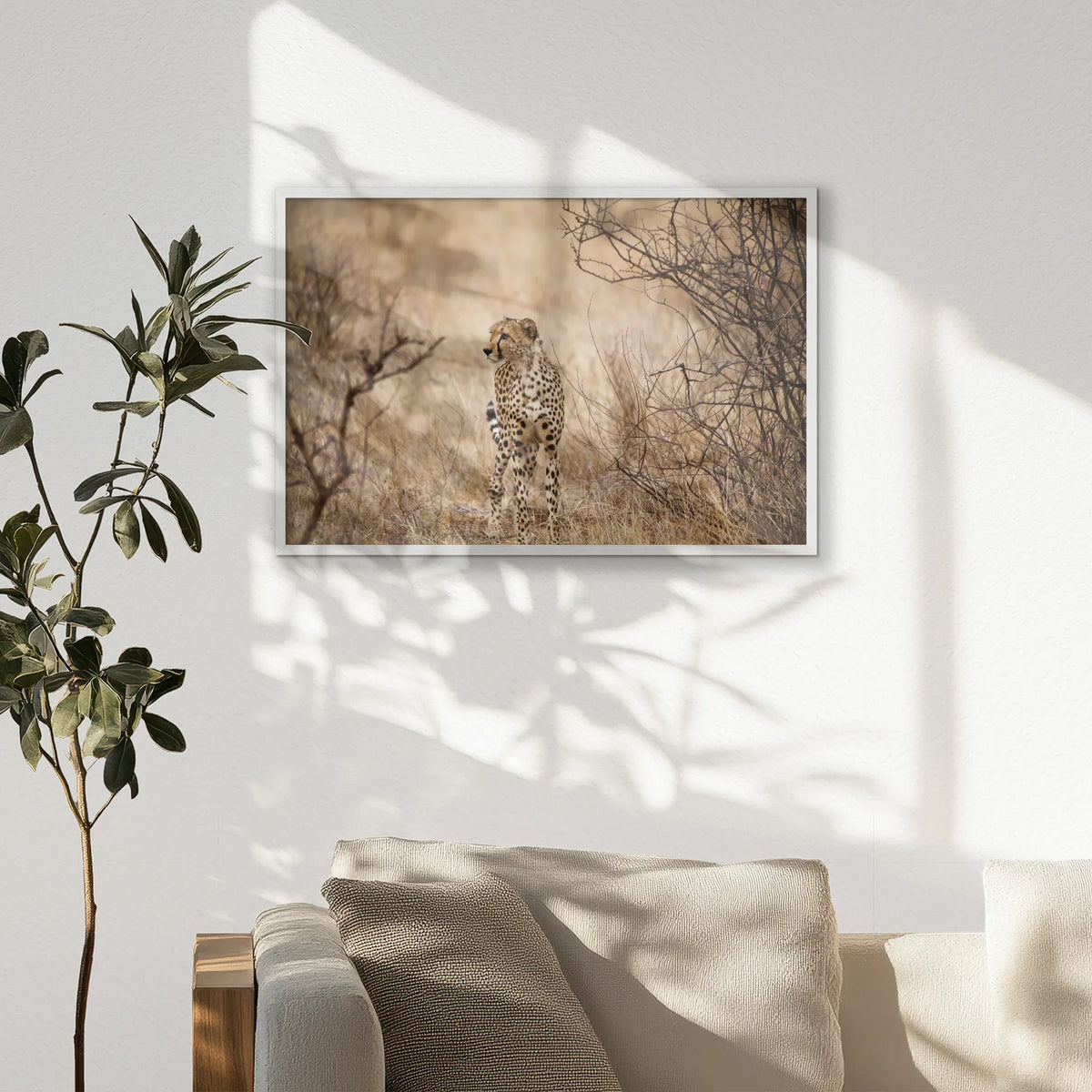 PW-093W062
