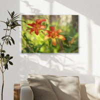 AL-045W030