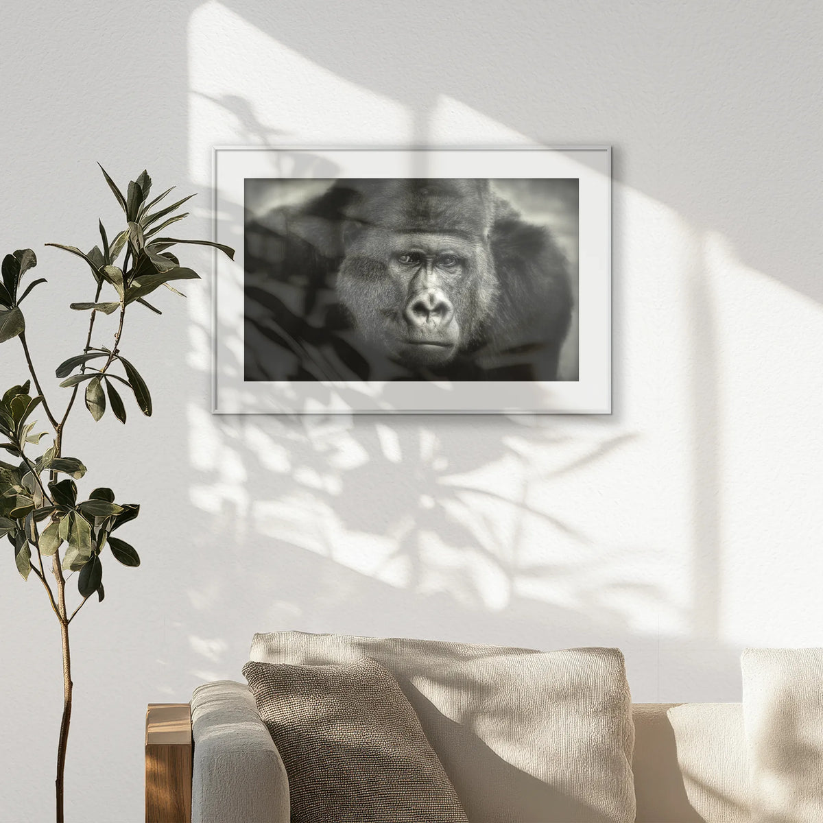 PSP093W062