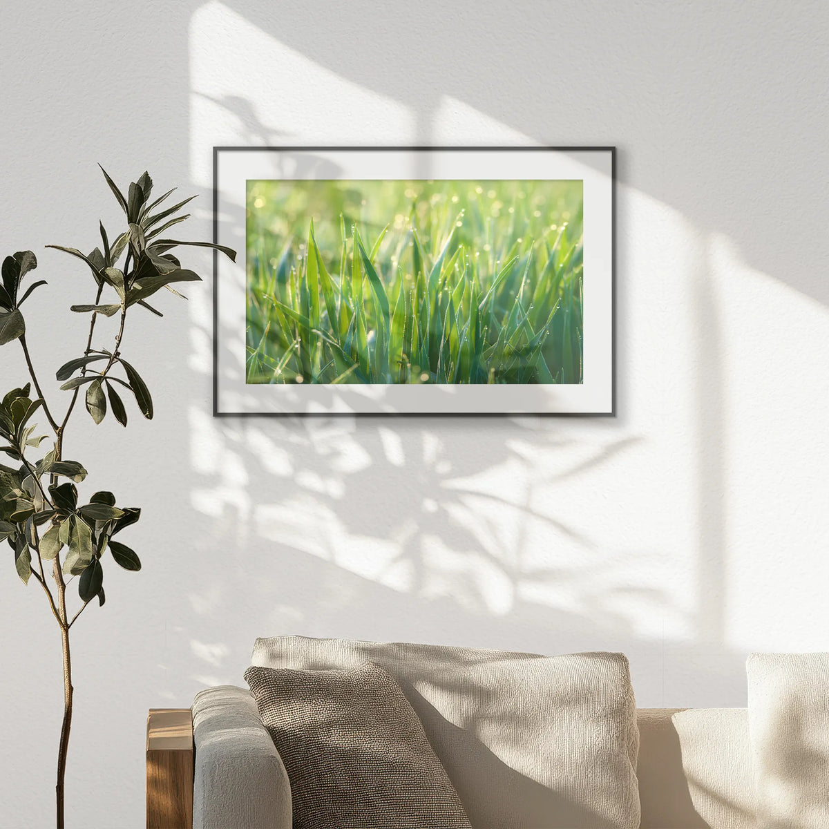 PBP093W062