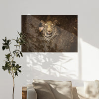 PO-120W080
