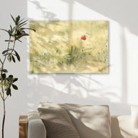 AL-045W030