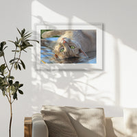 PWP093W062