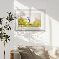 PWP060W040