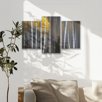 LW-090T060
