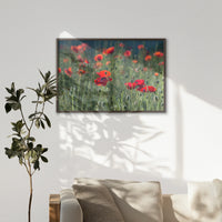 LWN100W070