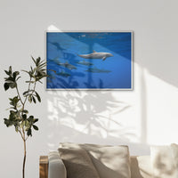 LWW120W080