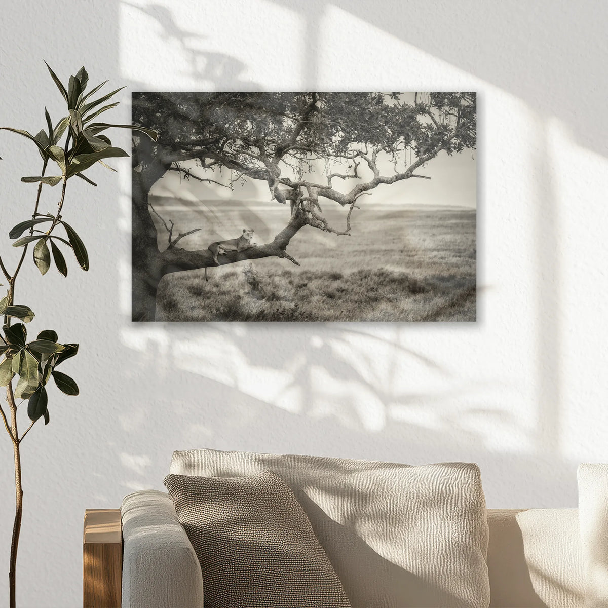 AL-030W020