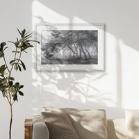 PWP093W062