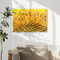 AL-030W020