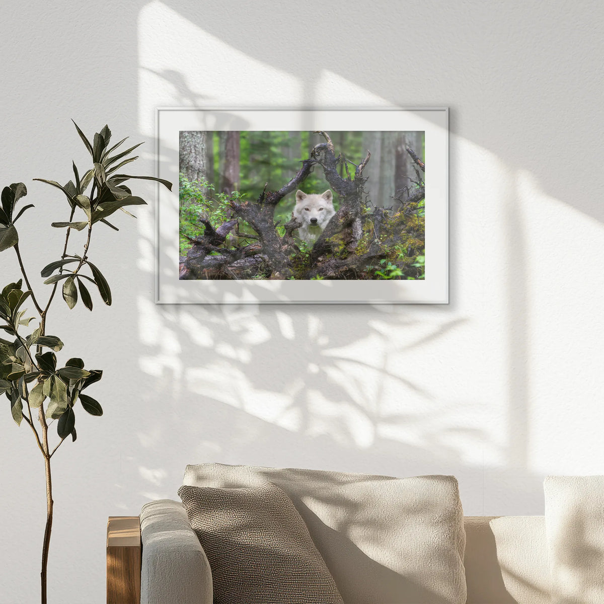 PSP093W062