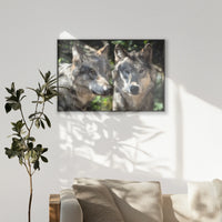PB-100W070