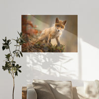 PO-120W080