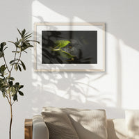 PNP060W040