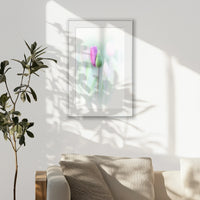 PSP062W093