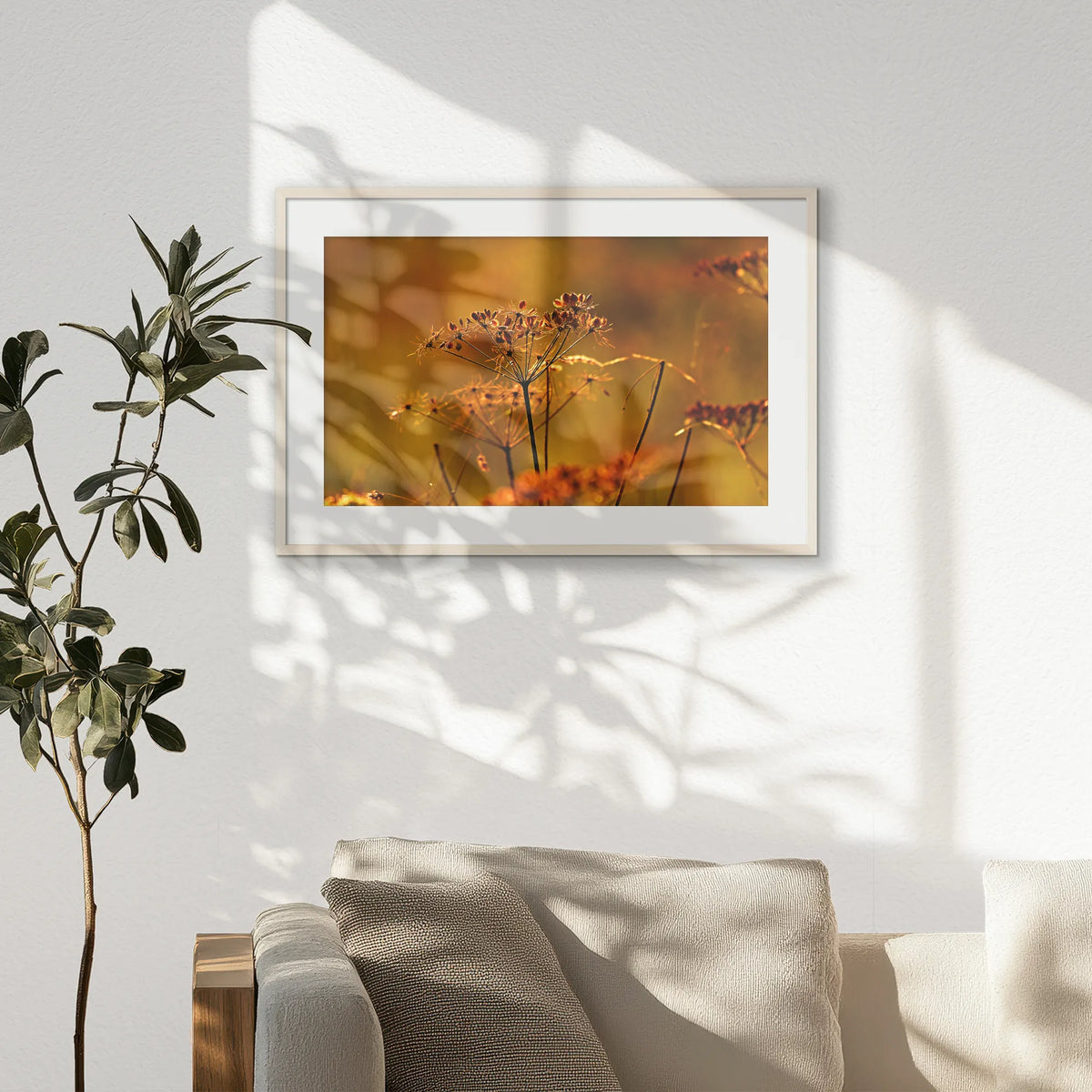 PNP093W062