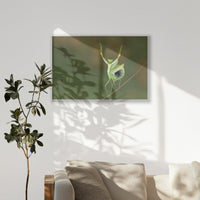 PS-100W070