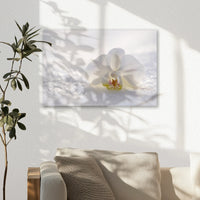 AL-030W020