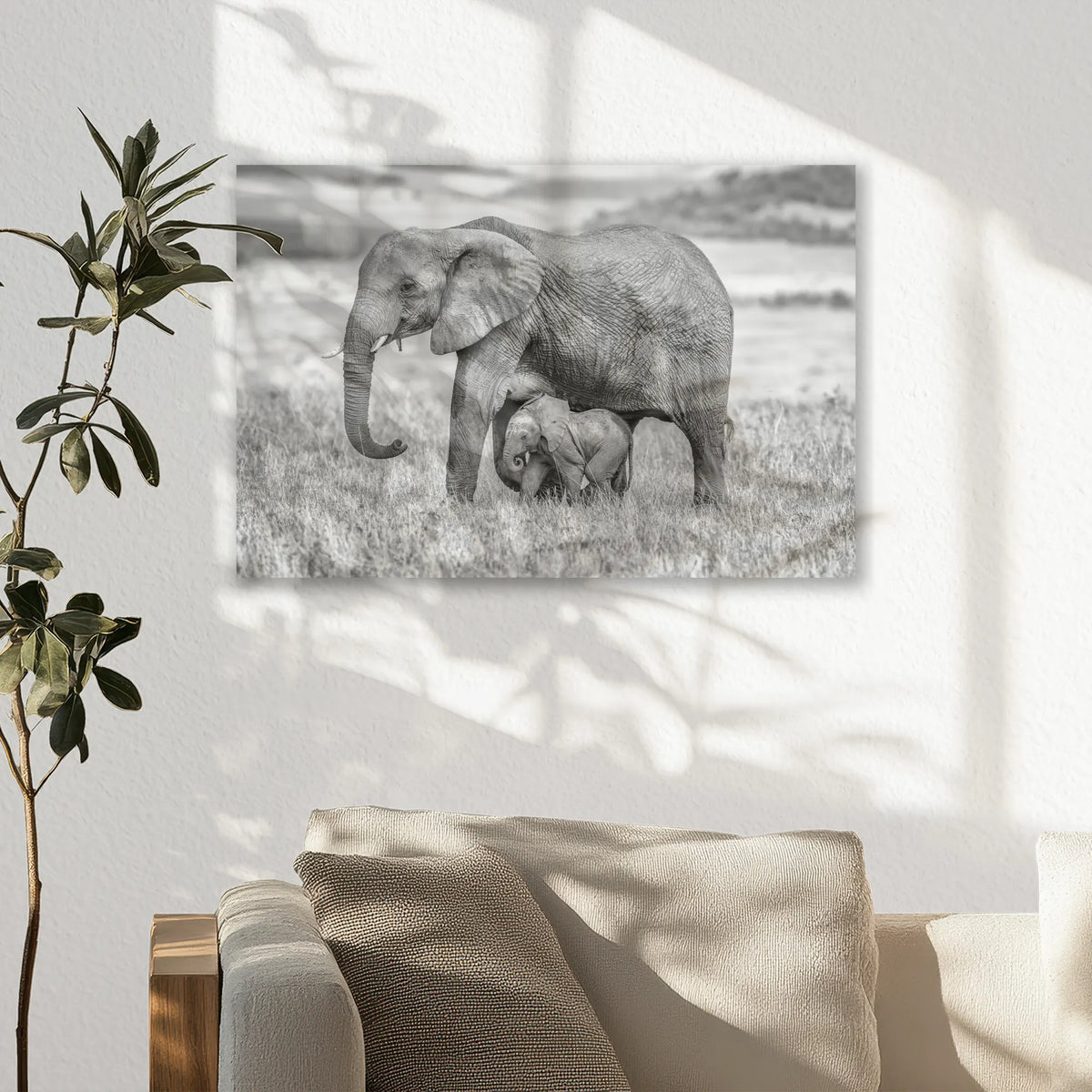 AL-030W020