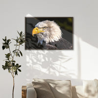 LWN100W070