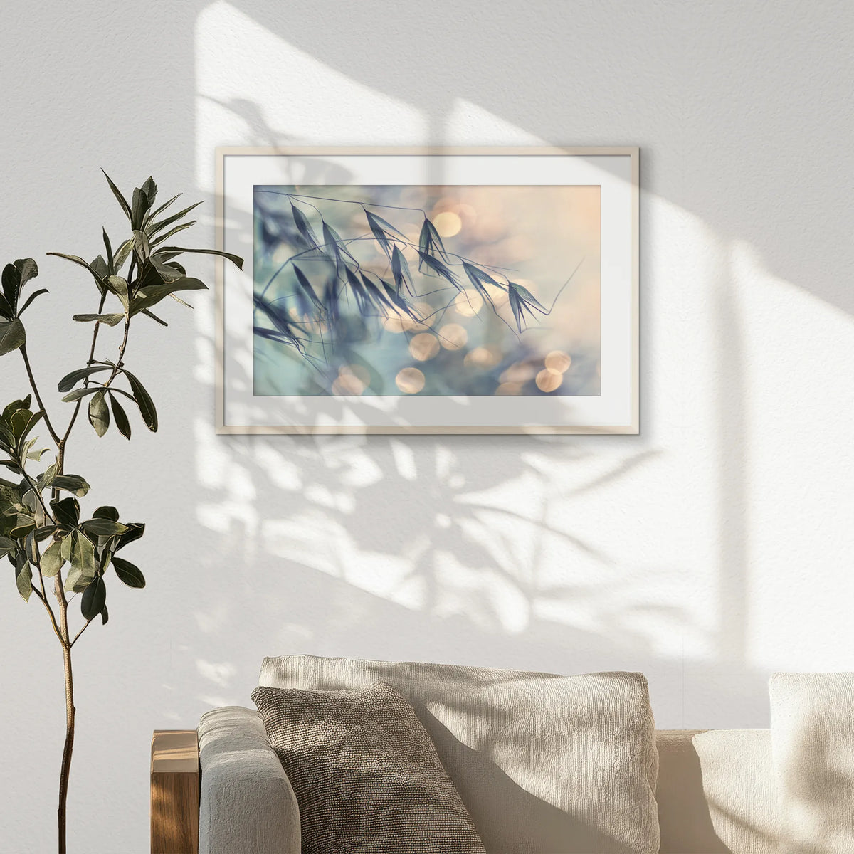 PNP093W062