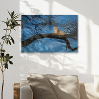 AC-030W020