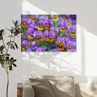 AL-075W050