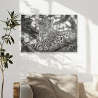 AL-045W030