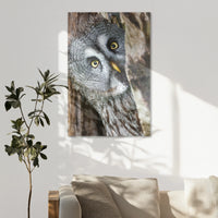 AC-080W120