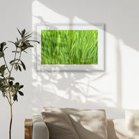 PWP093W062