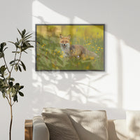 PK-093W062