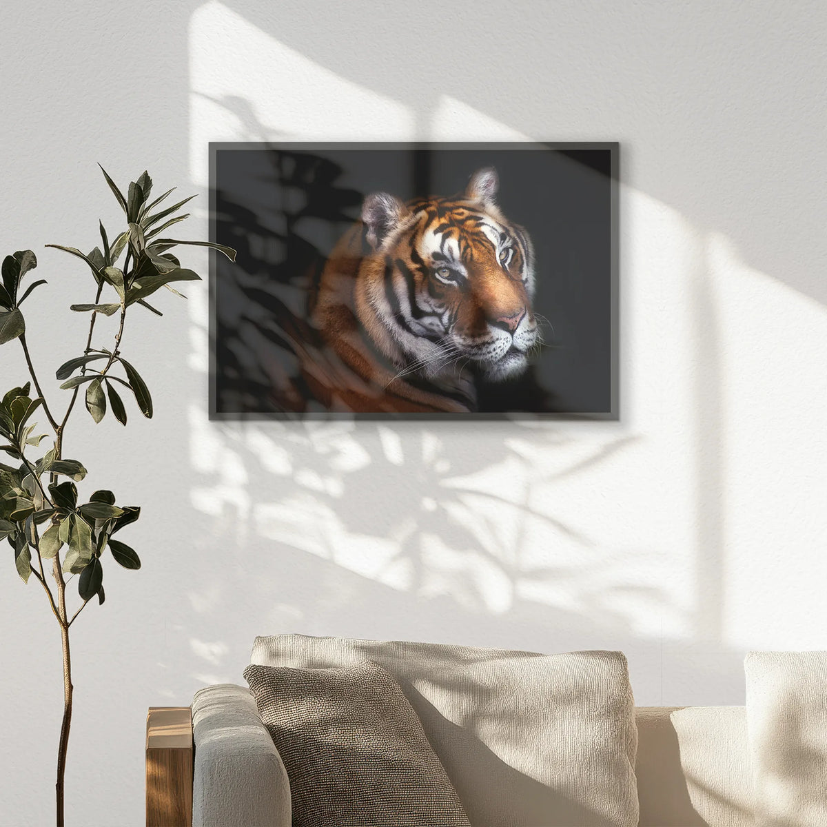 PK-093W062