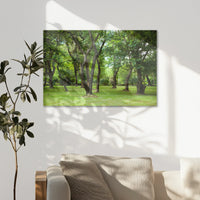 AL-090W060