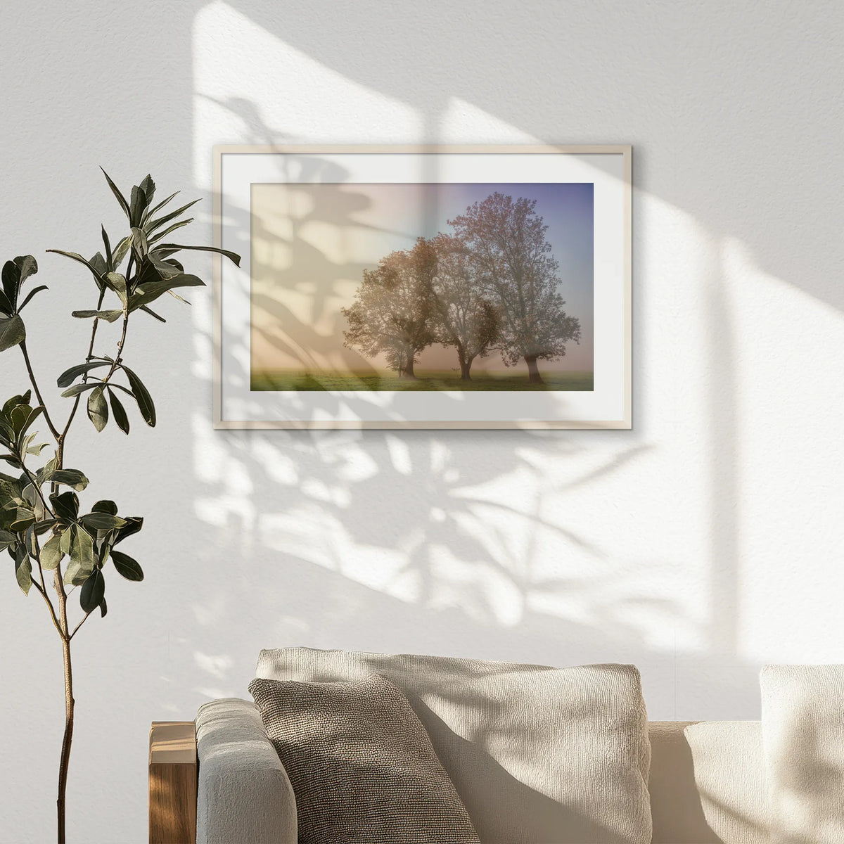 PNP093W062